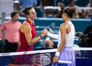 包含灰狼惨遭逆转，客场告负局面尴尬的词条