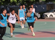 精彩纷呈的职业篮球比赛观赏价值极高的简单介绍